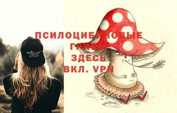 гашик Бугульма