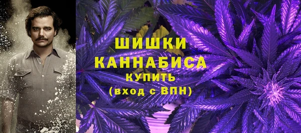 герыч Бронницы